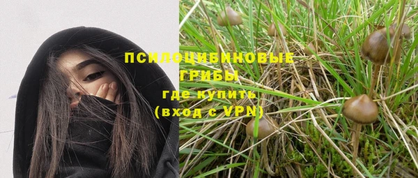 соль ск Магас