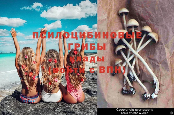 стафф Майский