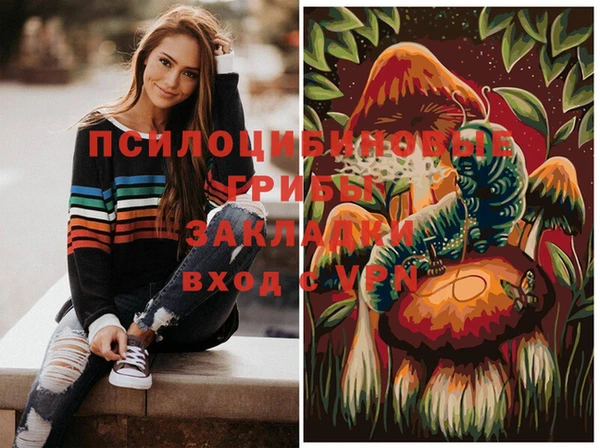 прущие крисы Магадан