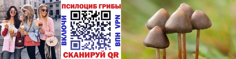 Псилоцибиновые грибы Psilocybine cubensis  Миасс 