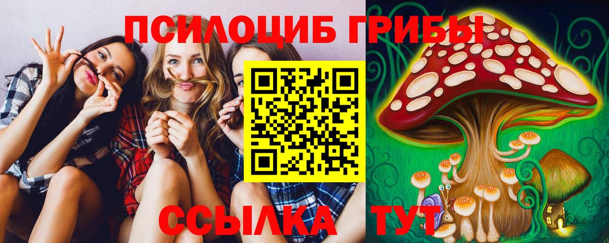 Миасс  Галлюциногенные грибы Psilocybine cubensis  наркота  Вход с VPN 